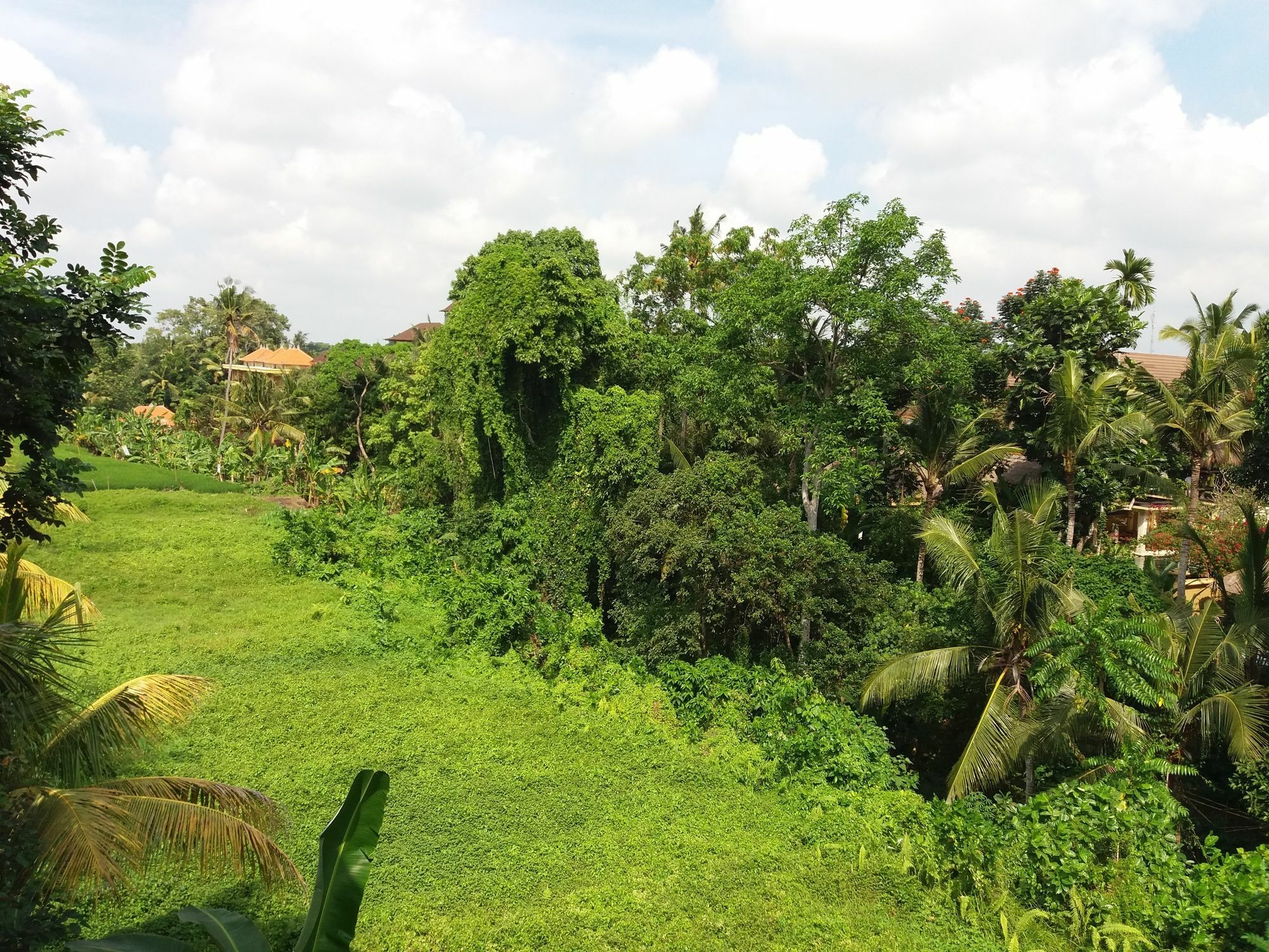 Amoya Inn Ubud  Exterior photo