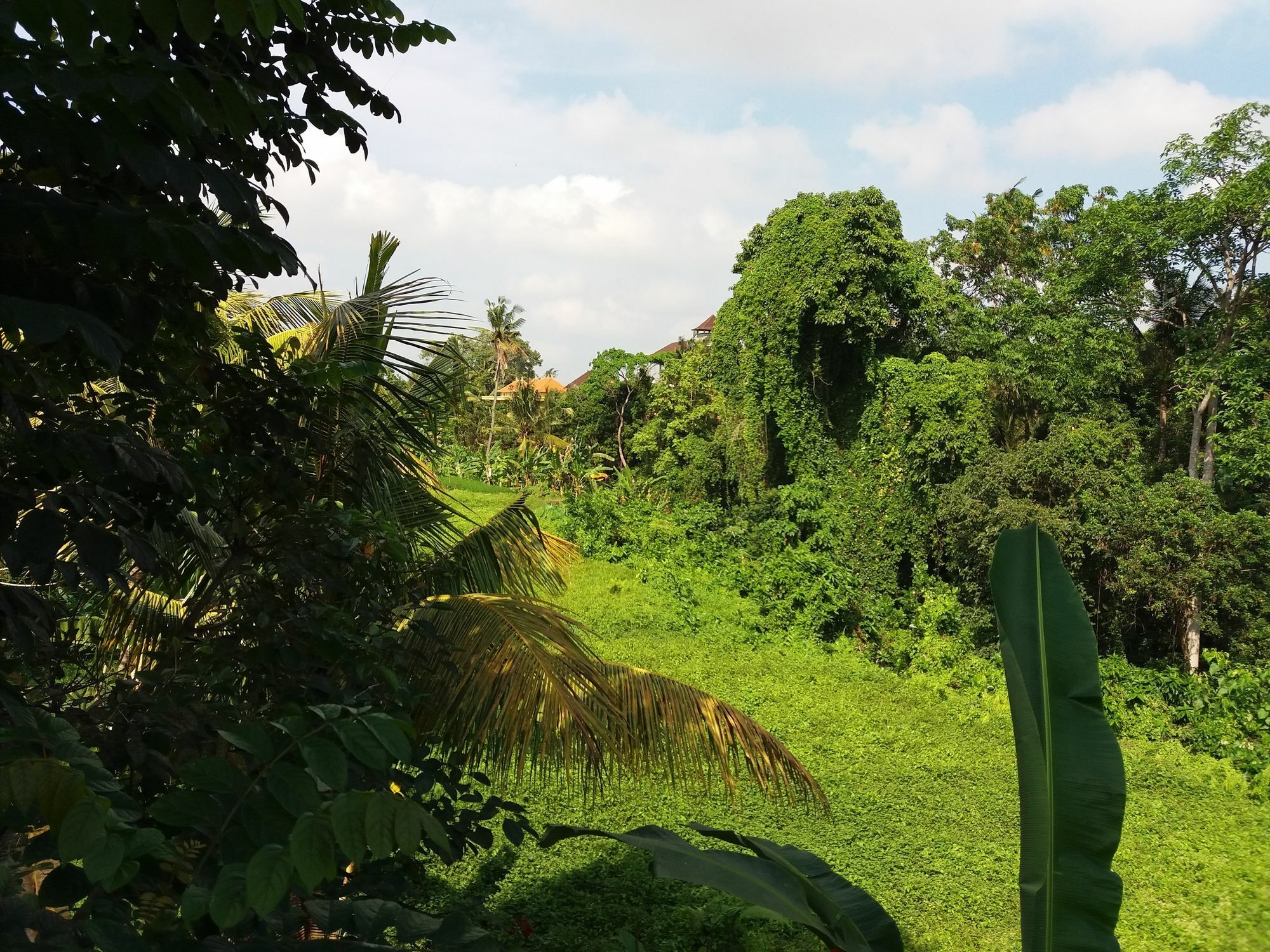 Amoya Inn Ubud  Exterior photo