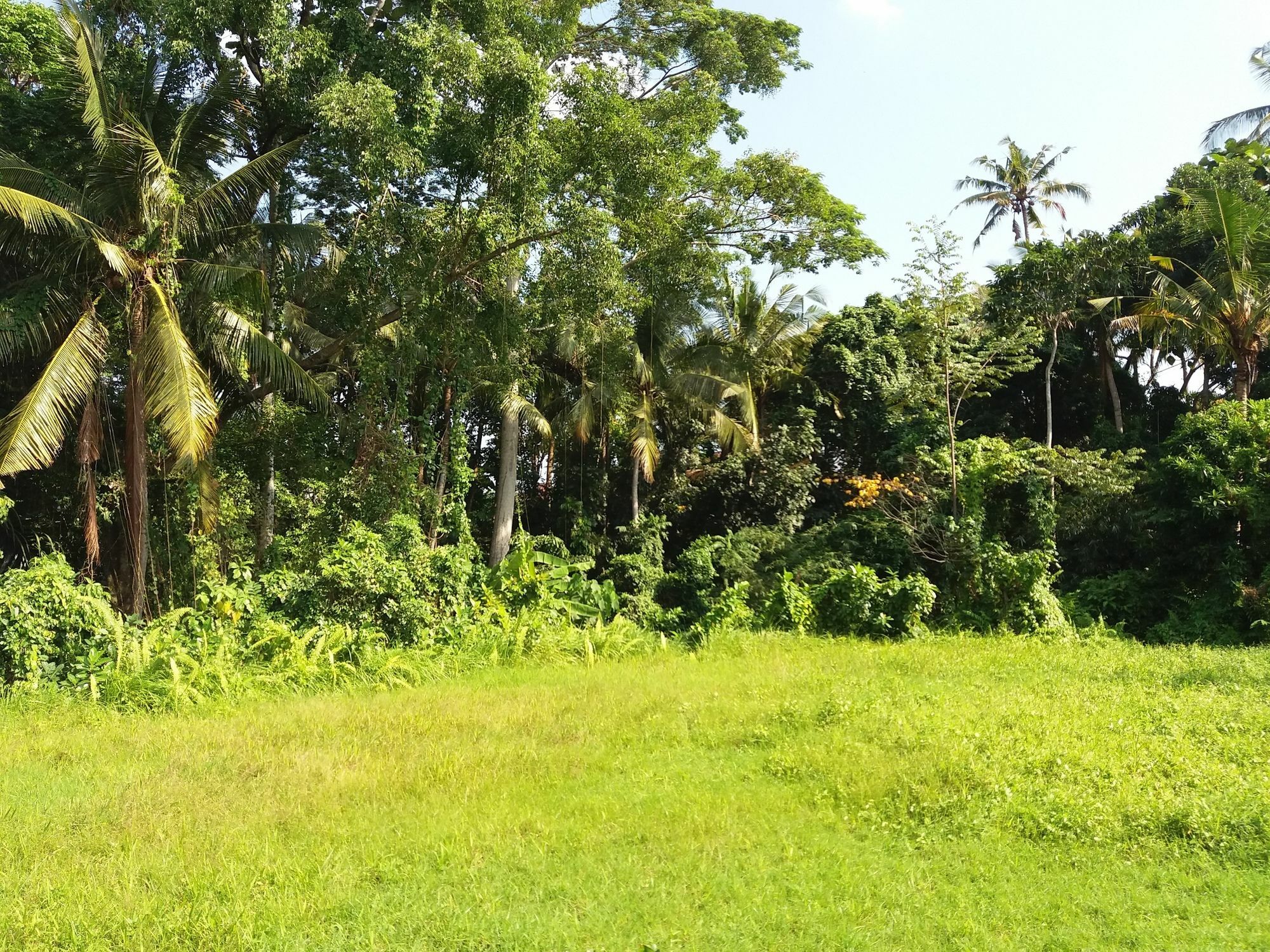 Amoya Inn Ubud  Exterior photo